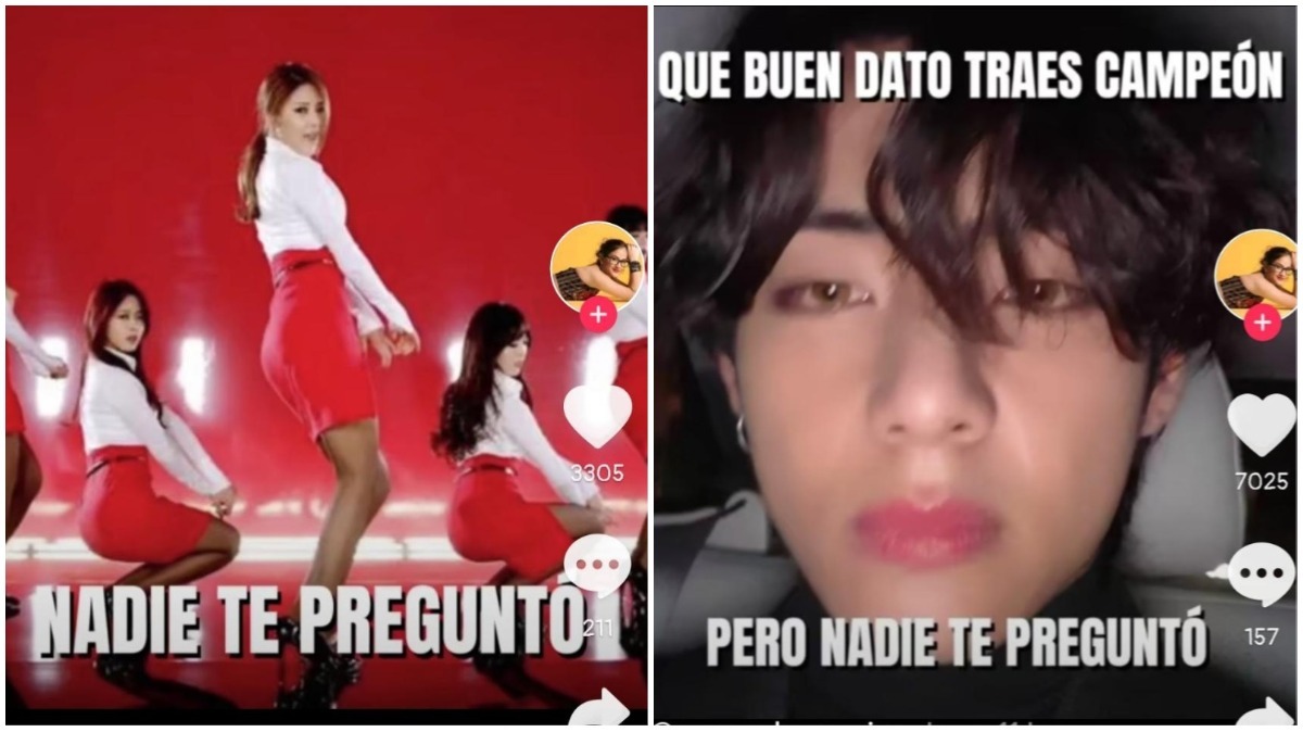 Artista Se Hace Viral Por Fusionar Canciones De K Pop Con Memes De Nadie Te Pregunto En Tiktok Aweita La Republica