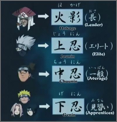 rangos y niveles de poder de los jounin de konoha en Naruto//naruto  shippuden 